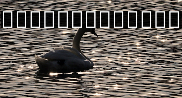 Noto Sans Armenian SemiCondensed Font examples