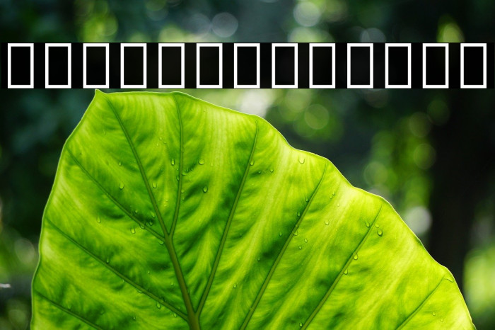 Noto Sans Bamum Regular Example 2