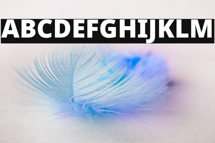 Noto Sans Black Example 2