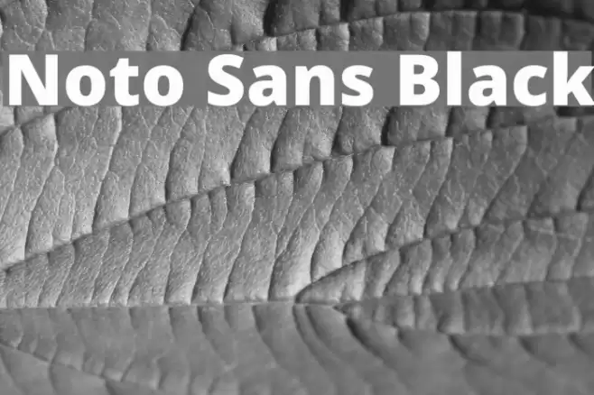 Noto Sans Black Font examples