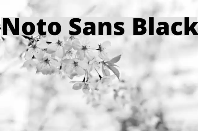Noto Sans Black Font examples