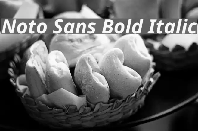 Noto Sans Bold Italic Font examples