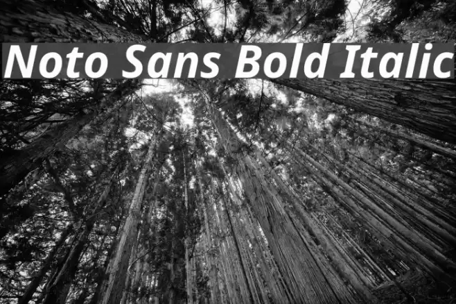 Noto Sans Bold Italic Font examples