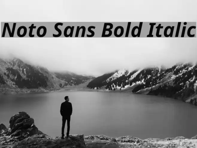 Noto Sans Bold Italic Font examples