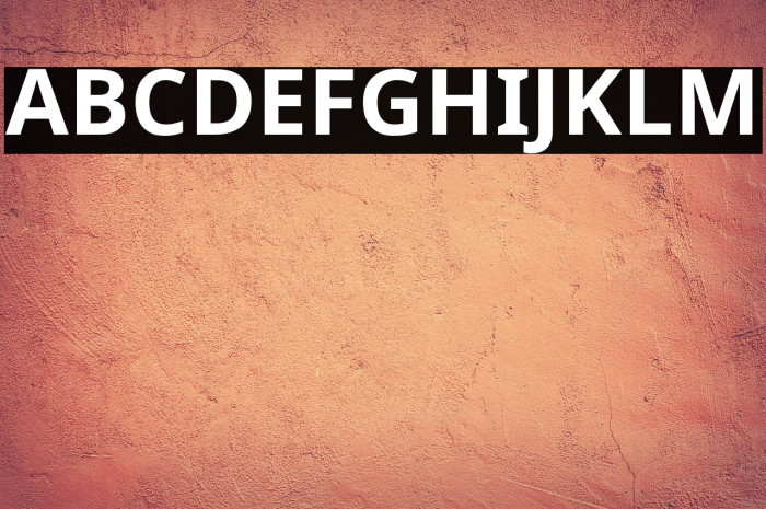 Noto Sans Bold Example 2