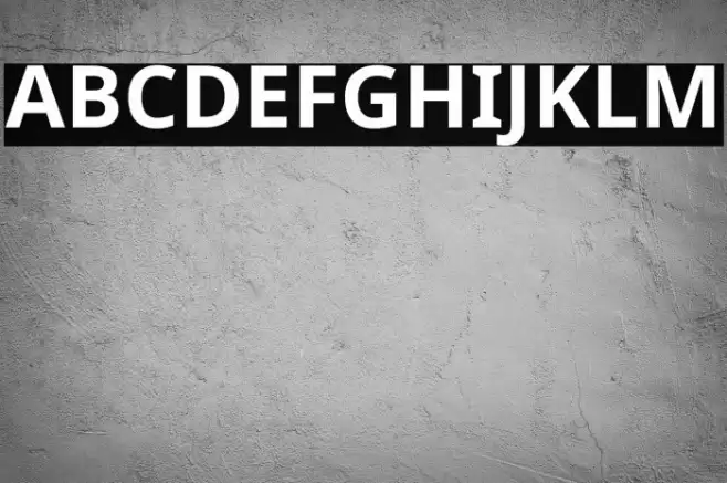 Noto Sans Bold Font examples