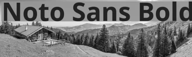 Noto Sans Bold Font examples