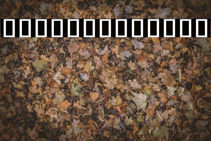 Noto Sans Chakma Regular Example 1