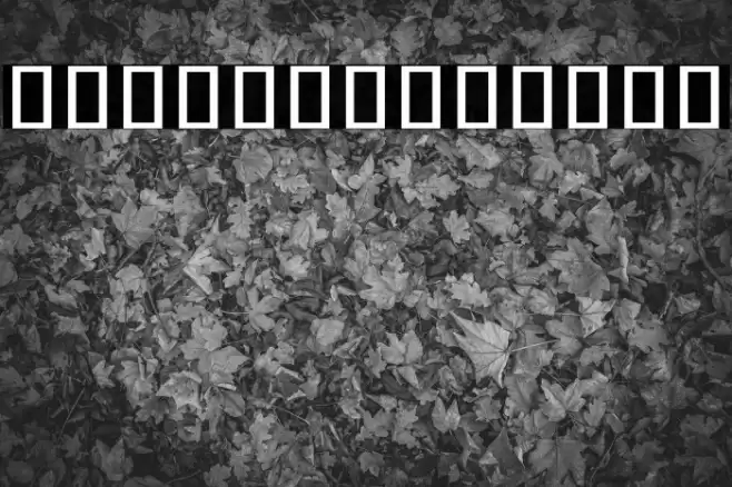 Noto Sans Chakma Regular Font examples