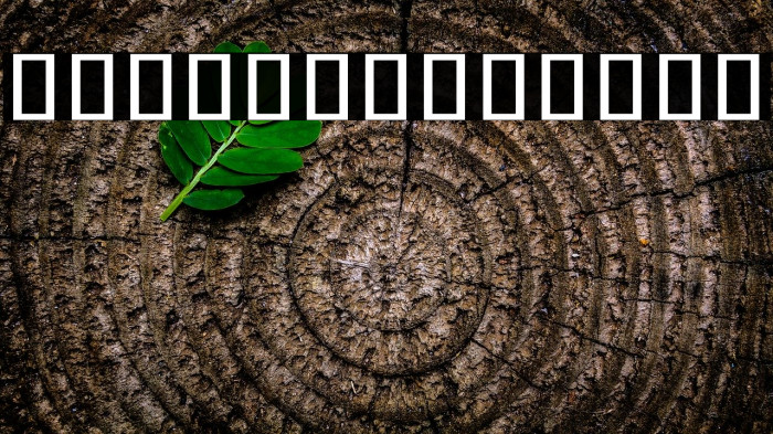 Noto Sans Chakma Regular Example 3