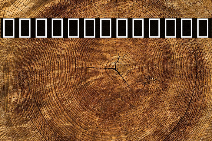 Noto Sans Cherokee Bold Example 1