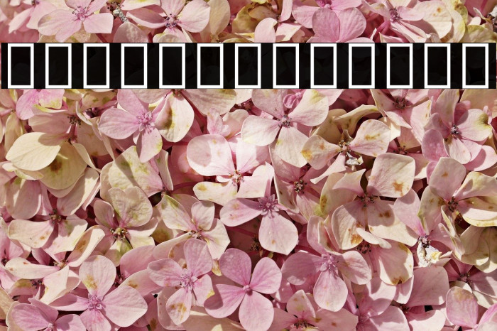 Noto Sans Cherokee Regular Example 1