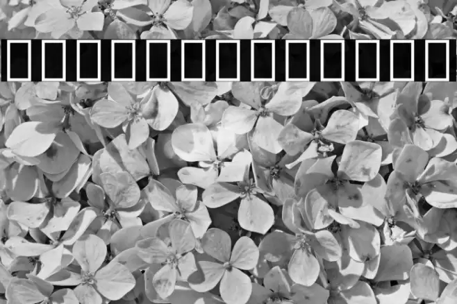 Noto Sans Cherokee Regular Font examples