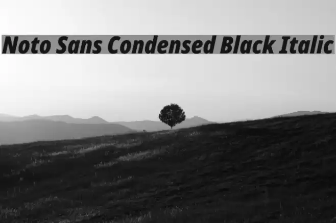 Noto Sans Condensed Black Italic Font examples