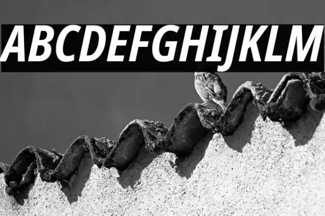 Noto Sans Condensed Bold Italic Font examples