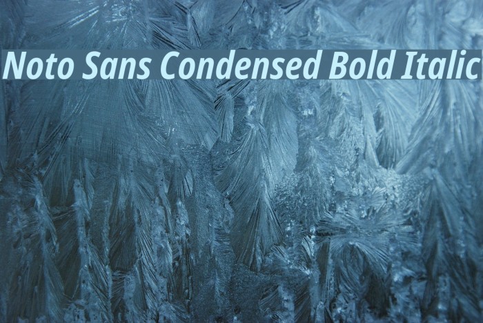 Noto Sans Condensed Bold Italic Font examples