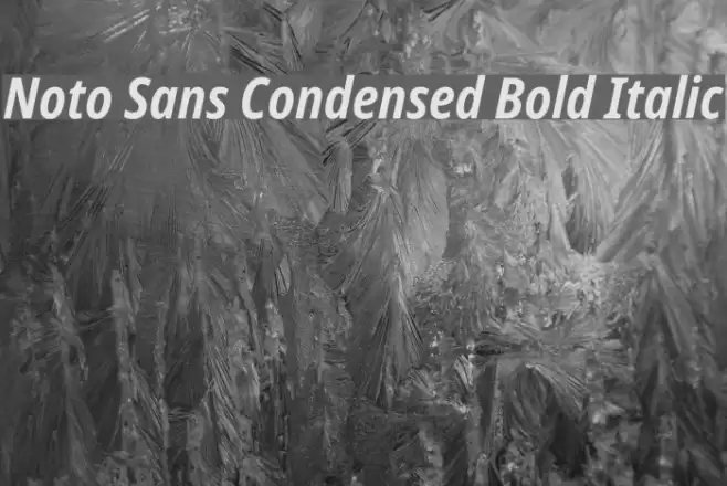 Noto Sans Condensed Bold Italic Font examples