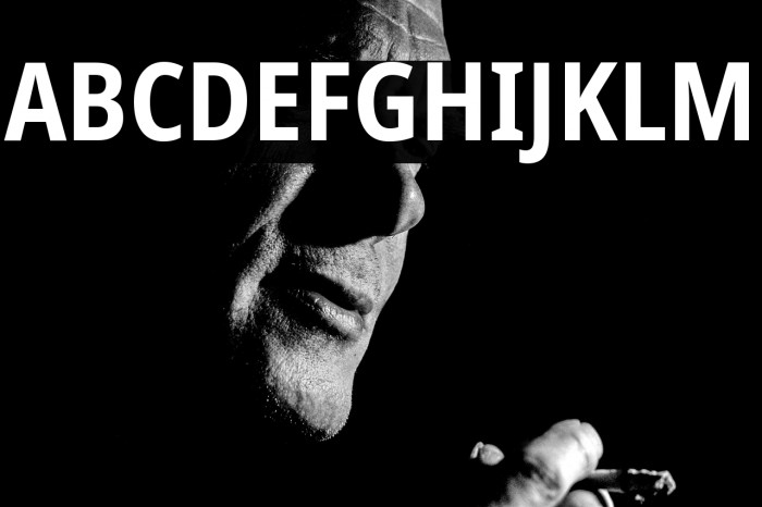 Noto Sans Condensed Bold Example 1