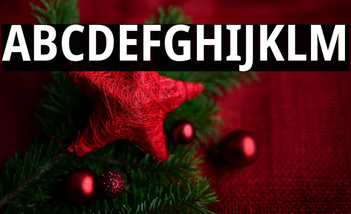 Noto Sans Condensed Bold Example 2