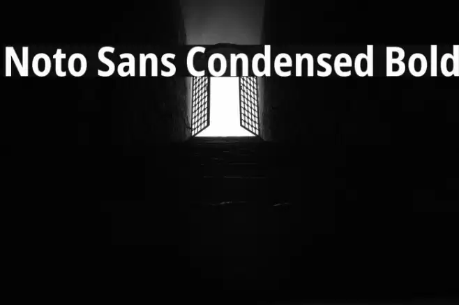 Noto Sans Condensed Bold Font examples