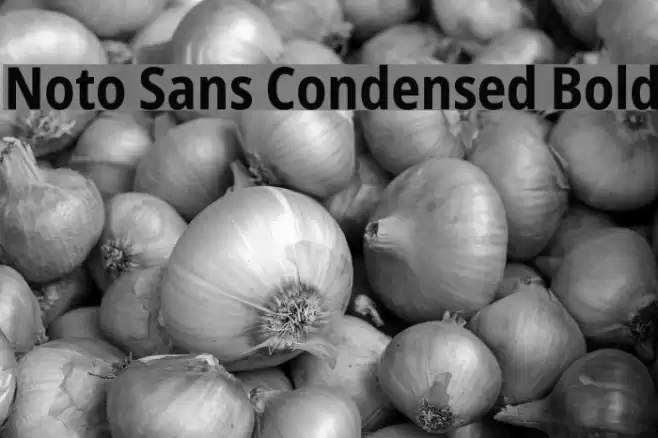 Noto Sans Condensed Bold Font examples