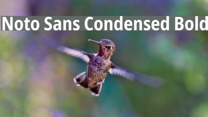 Noto Sans Condensed Bold Example 3