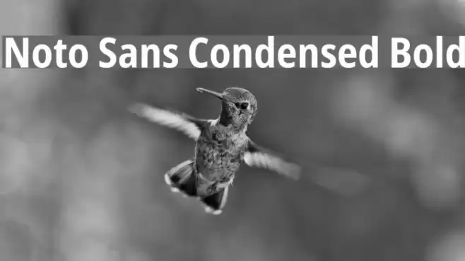 Noto Sans Condensed Bold Font examples