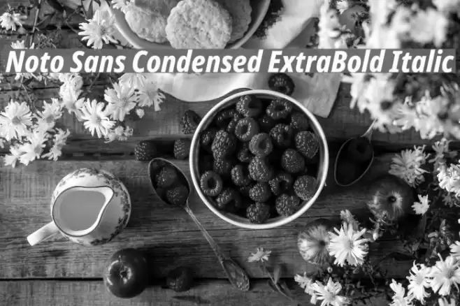 Noto Sans Condensed ExtraBold Italic Font examples