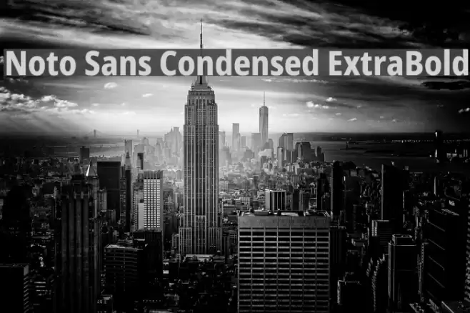 Noto Sans Condensed ExtraBold Font examples