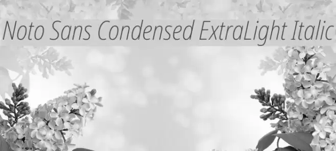 Noto Sans Condensed ExtraLight Italic Font examples