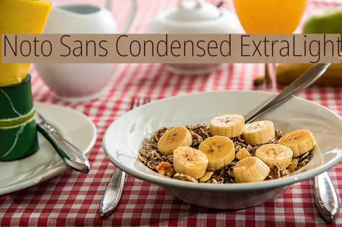 Noto Sans Condensed ExtraLight Example 1