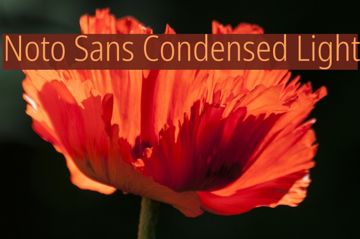 Noto Sans Condensed Light Example 2