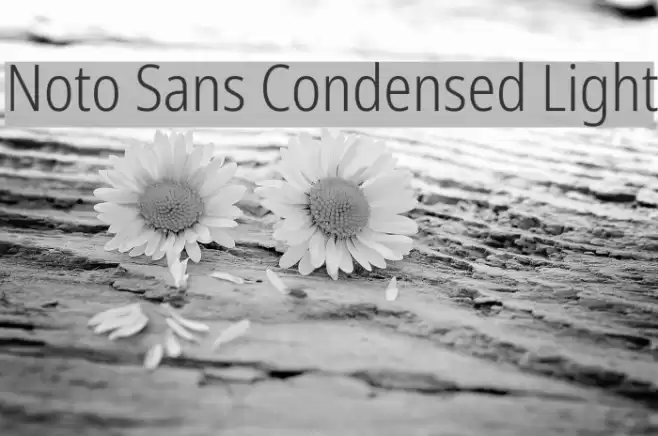Noto Sans Condensed Light Font examples