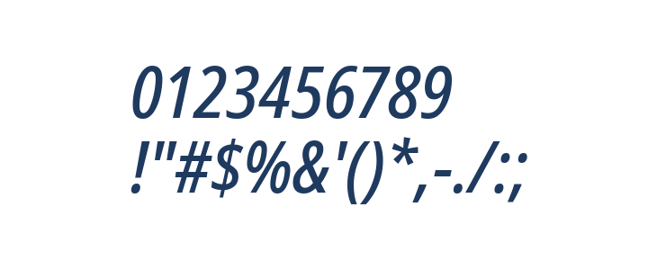 Noto Sans Condensed Medium Italic Other Characters