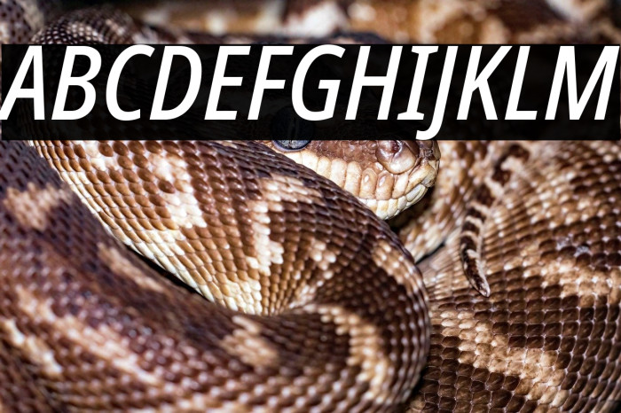 Noto Sans Condensed Medium Italic Example 2