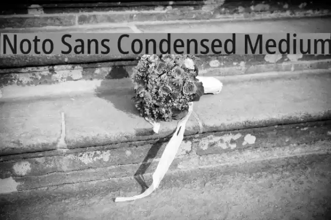 Noto Sans Condensed Medium Font examples