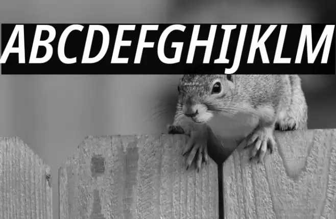 Noto Sans Condensed SemiBold Italic Font examples