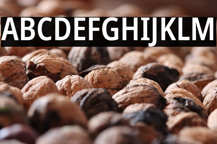 Noto Sans Condensed SemiBold Example 2