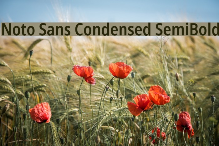 Noto Sans Condensed SemiBold Font examples