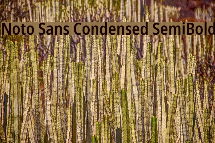Noto Sans Condensed SemiBold Font examples