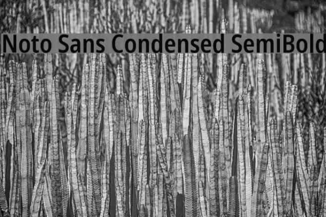Noto Sans Condensed SemiBold Font examples