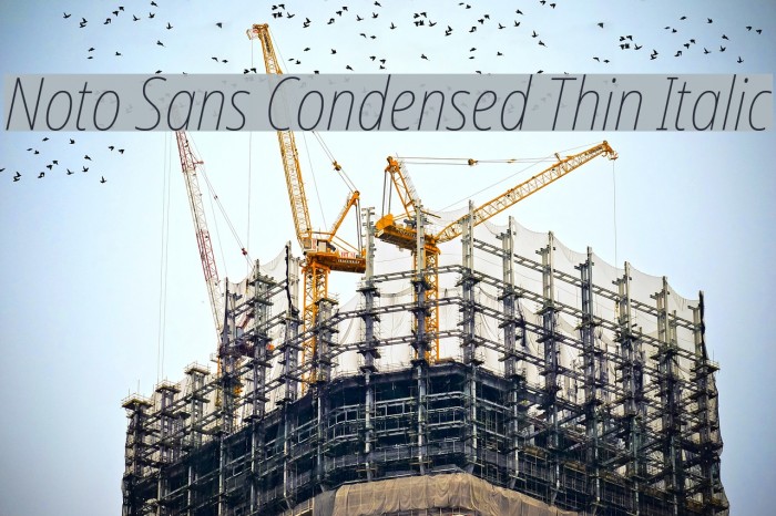 Noto Sans Condensed Thin Italic Font examples