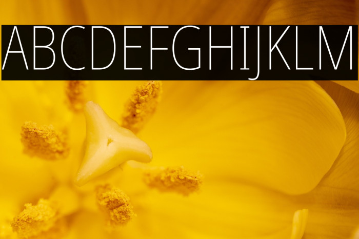 Noto Sans Condensed Thin Example 3