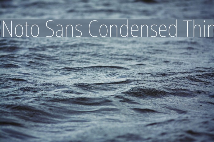 Noto Sans Condensed Thin Example 2