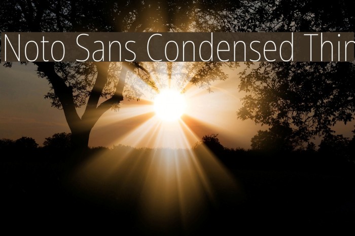 Noto Sans Condensed Thin Example 3