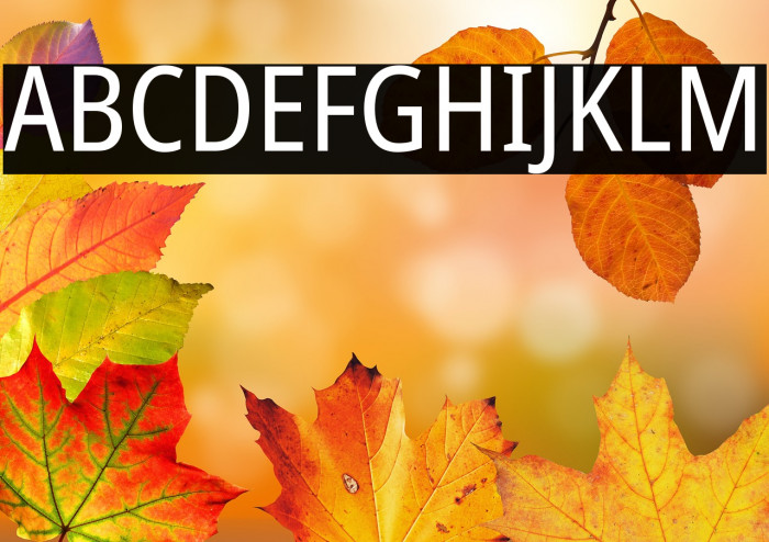 Noto Sans Condensed Example 3