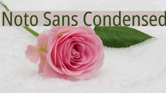 Noto Sans Condensed Font examples