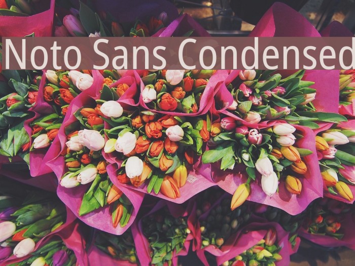 Noto Sans Condensed Font examples