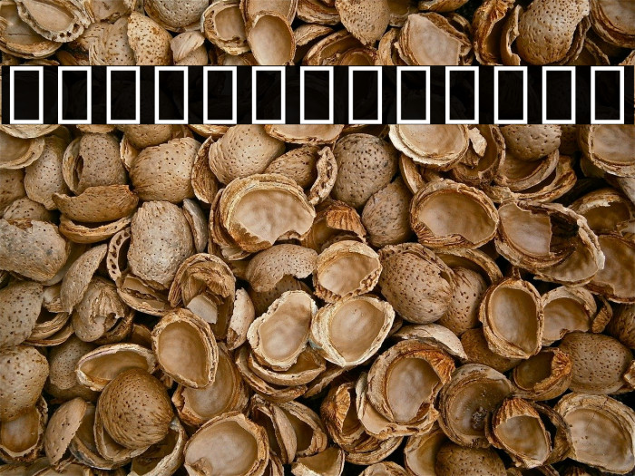 Noto Sans Cuneiform Regular Example 3