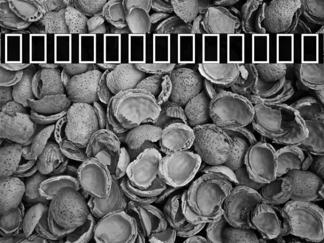 Noto Sans Cuneiform Regular Font examples